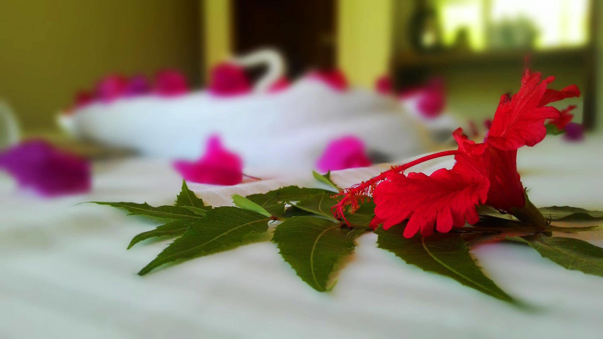 Sole Luna Resort & Spa Tangalle Eksteriør billede